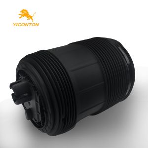 1C 2017 Air spring installation position left rear; applicable models Bentley