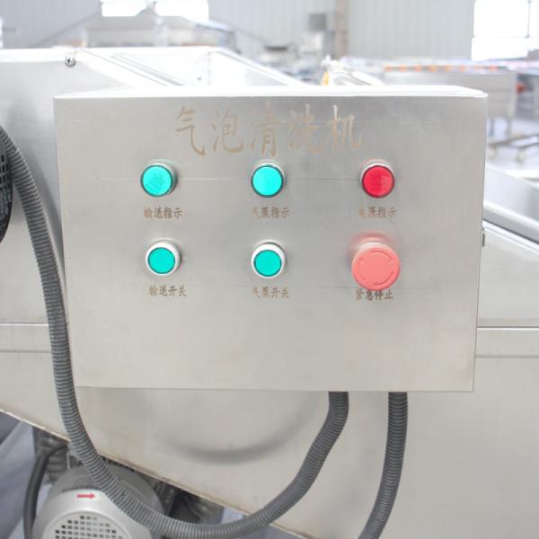 500kg/h industrial fruit washing machine