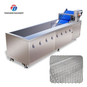 Watercress Bubble Generating Vegetable Fruit Cleaning Machine , Apricot