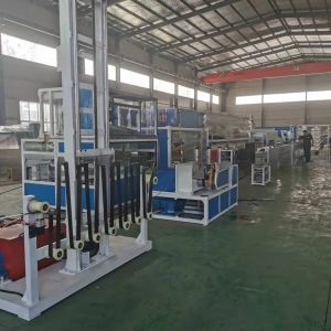 Separate Type Extruder Competitive Pet Geo Strap Band Production Line for Full