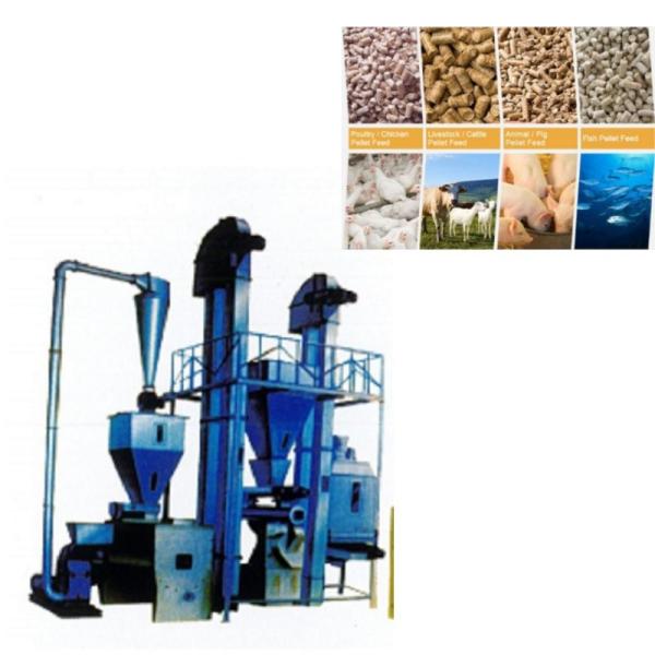 Buy Animal Feed Poultry Pellet Feed Plant 1-12mm Stock Feed Pellet Machine Livestock at wholesale prices