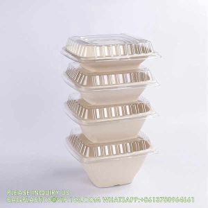 5 Compartment Snack Food Tray Sugarcane Bagasse Plate Disposable Plates Eco