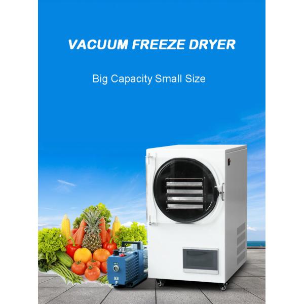 Freezed Dryer Vacuum Machines Industrial Coffee Mushroom Food Lyofilizing