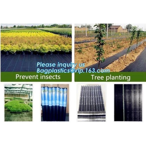 China plastic agricultural mulch film, weel control fabric roll,prevent weed growing,weed barrier fabric,Weed Control Folding on sale China plastic agricultural mulch film, weel control fabric roll,prevent weed growing,weed barrier fabric,Weed Control Folding on sale