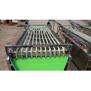 blueberry grading machine, dates sorting machine, plum grading machine