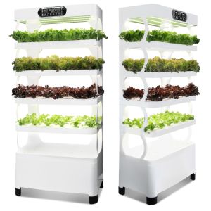 China Veggiefloe Hydroponic System – Fresh, Healthy, and Sustainable Home-Grown Vegetables on sale