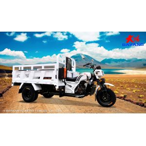 150cc/175cc/200cc Engine Motorized Tricycles Cargo Tricycles for Adult by WUYANG