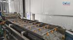 Citrus Processing Line Juice Extraction And Sterilization System Tropical Fruit