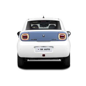 Great Wall ORA R1 Black Cat Electric Car 102km/H High Speed