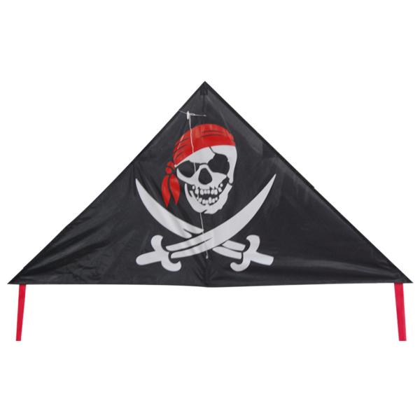 Buy Pirate Pattern Delta Wing Kite Convenient Carry Easy Control Durable at wholesale prices