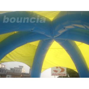 Water Walking Ball Inflatable Water Pool With Durable PVC Tarpaulin