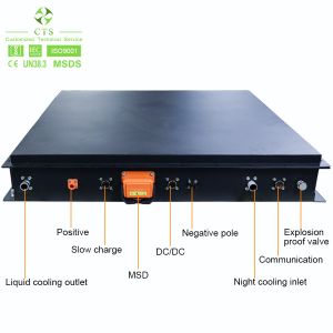CTS Standard EV Battery Modules 500V 600V 700V 800V Nominal Capacity 100ah 200ah