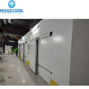 Food Preservation Frozen Lobster Cold Rooms with Steel Material Embossed