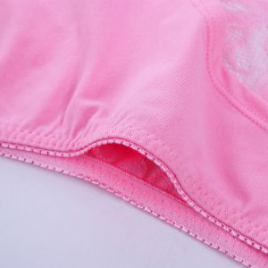 Low Price Sexy Lace Transparent Ladies Underwear Panties