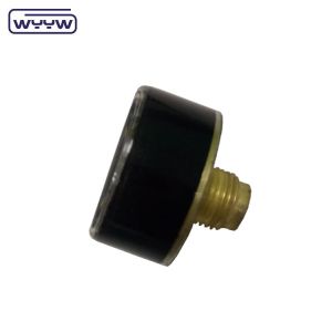 250 Bar 300bar 1 Inch 25mm Mini Pressure Gauge Manometer M10X1