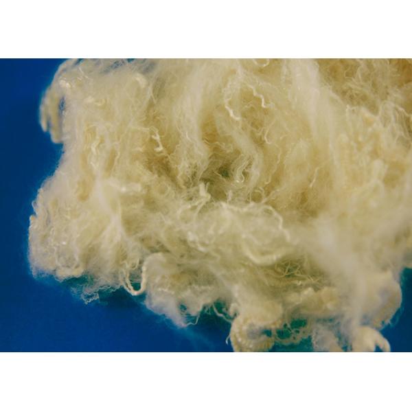 Recycled Hollow Conjugated Siliconized Polyester Fiber For Pillow Stuffing