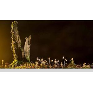 21.5 Inch Ips Tft Screen 1920x1080 With Lvds Interface 30 Pins MV215FHM-N70