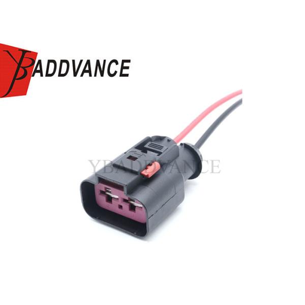 F064200 33500397 9.5mm Series Female 2 Pin Connector Wiring Harness For Auto