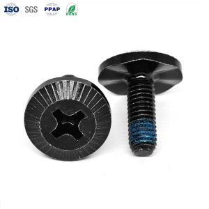 Custom Black Finish Screws with Hexagonal Head and 10.000kg Package Gross Weight