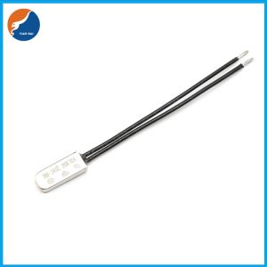 Hair Straightener 10A 200C 240C 250C BW Thermal Protector