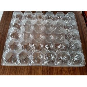 clamshell kiwi packing folding boxes