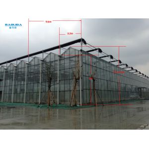 Agricultural / Industrial Garden Greenhouse For Vegetables / Mushrooms / Flowers