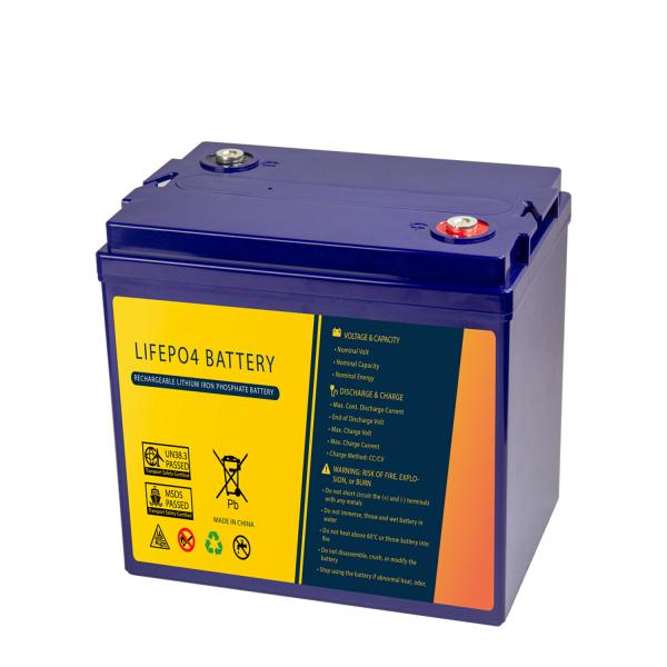 LiFePo4 48V 50Ah 2.4KW Motorcycle Lithium Battery Accept OEM