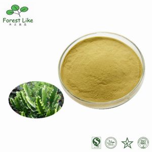 China Factory Price Natural Cactus Extract for Medicine Free Sample on sale