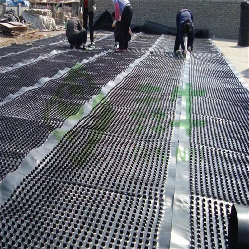 HDPE Drainage Board Compound Dimple Waterproof HDPE Drain Plastic Drainage Board Dimpled Drainage Board