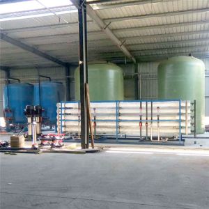 Electrodeionization EDI RO Di Water System Purifier Plant Deionized Water