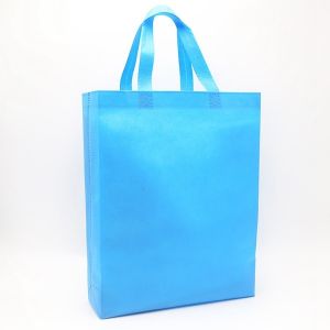 Custom Printing Durable Handled Hot Sale Non Woven Bag For Gift Package China