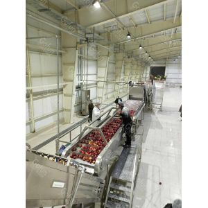Automatic PLC Controlled Apple Juice Processing Machine 0.5T/H - 30T/H