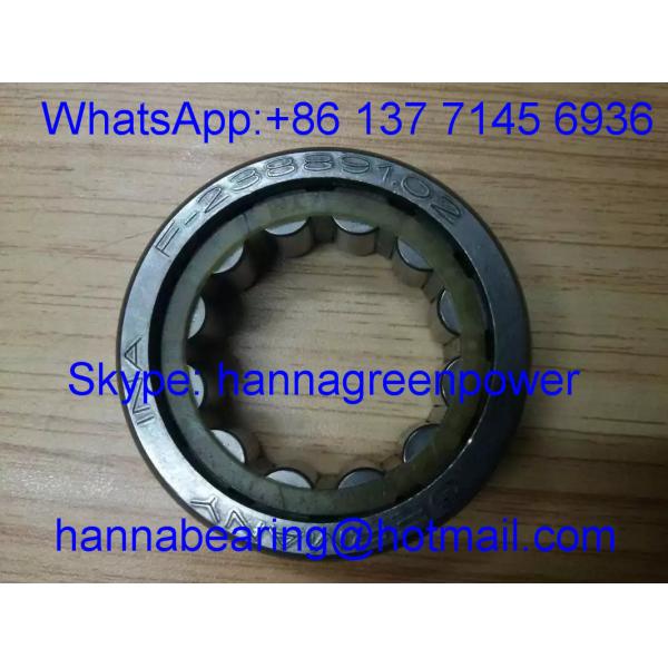 F-238891.02 / F23889102 Single Row Cylindrical Roller Bearing / Gearbox Bearing