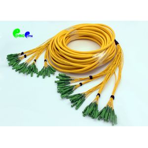E2000 - E2000 48F Fiber Optic Patch Cables OS2 Multifiber Single Mode Breakout