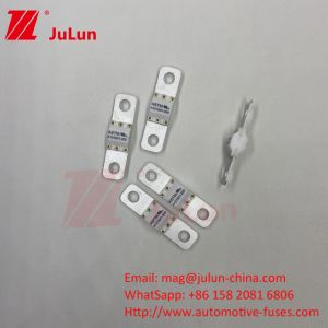 ASTM 50A 25VDC Electric Vehicle Fuses Current Range