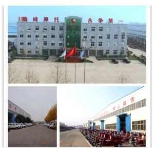 Gasoline 5 Seat 500kg 3 Wheel Bikes For Adults