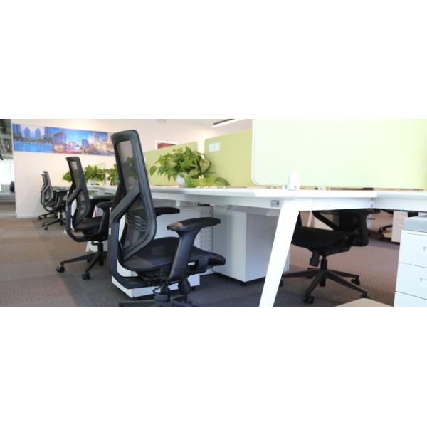 3D Lumbar Support Ergonomic Office Chair With Blade Wheels