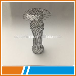medical esophagus stents with CE
