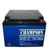 Champion AGM battery 12V24AH/12V28AH Sealed Lead Acid battery storage battery for toy for sale