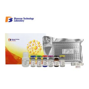 Quality Sandwich Immunosorbent Human ELISA Kit ASB2 96 Well Plate 3.04ng/L Sensitivity for sale