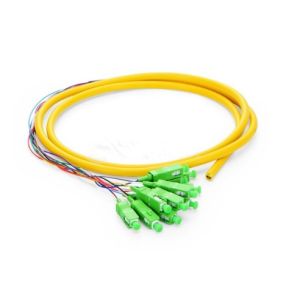 Single Mode Bunch Pigtail Patch Cord 1.5m SC APC 12 Fibers OS2 Yellow Color