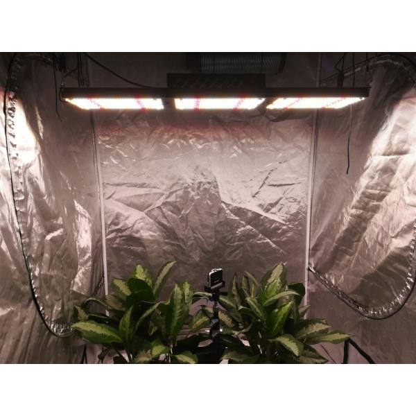 Buy 5000K Full Spectrum LED Grow Lights at wholesale prices