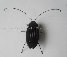 solar cockroach