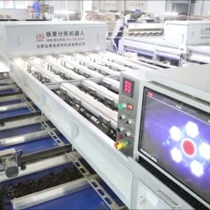 Intelligent Deep-learning 8 lanes+8 outlets Chestnut Sorting Machine 3.3 Tons