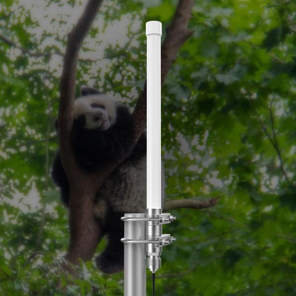 915mhz 868 12dbi 15dbi 5.8dbi 8dbi LoRa/LPWAN Antenna for Stable Outdoor Communication