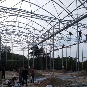 2-5m Shoulder Height High Tunnel Sawtooth Greenhouse for Commercial Plant