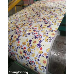 Interior Decoration PPGI Steel Coil PE Coating Pattern Printing Precision 0.2MM