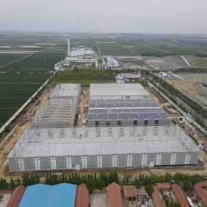 Steel Structure Factory with EPS Sandwich Panels and Galvanized Purlins