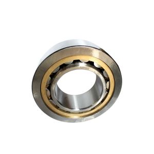 Machine Tools Double / Single Row Industrial Cylindrical Roller Bearings NN3019K