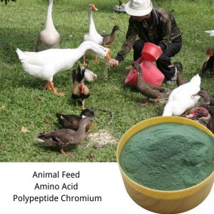 Protein Chelate Chromium Animal Feed Additive For Poultry Feed